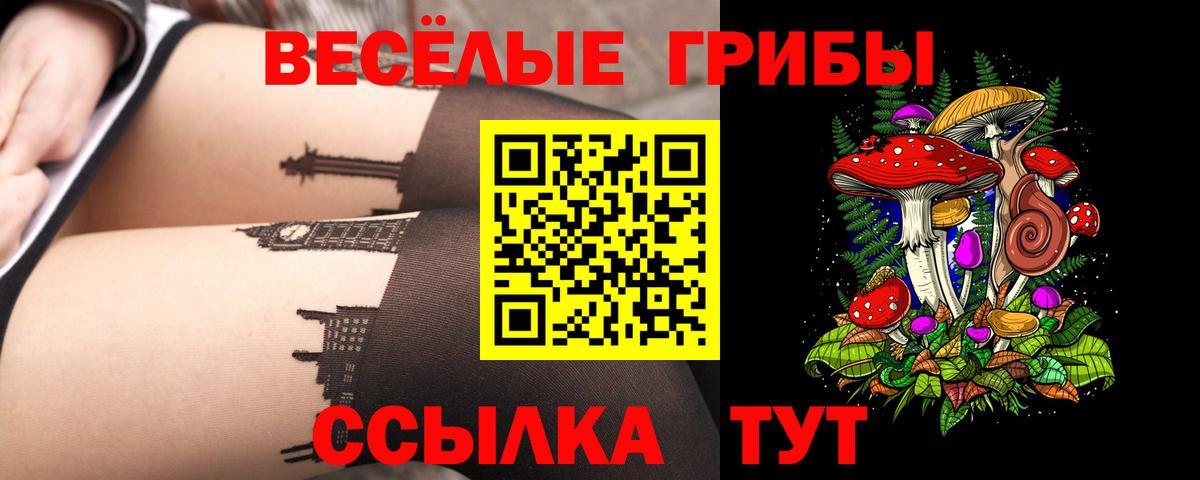 Псилоцибиновые грибы Cubensis  Вход с VPN  как найти наркотики  Мыски 